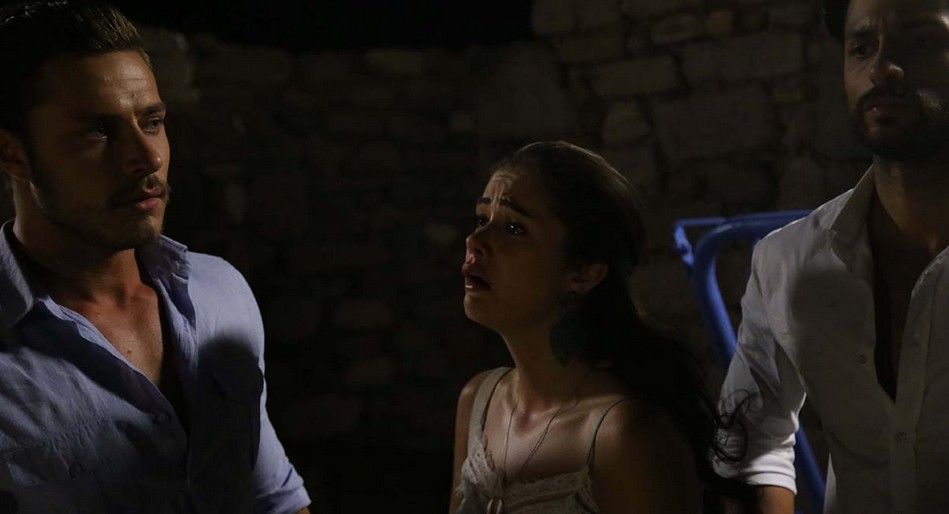 Hayat Sevince Güzel : Fotoğraf