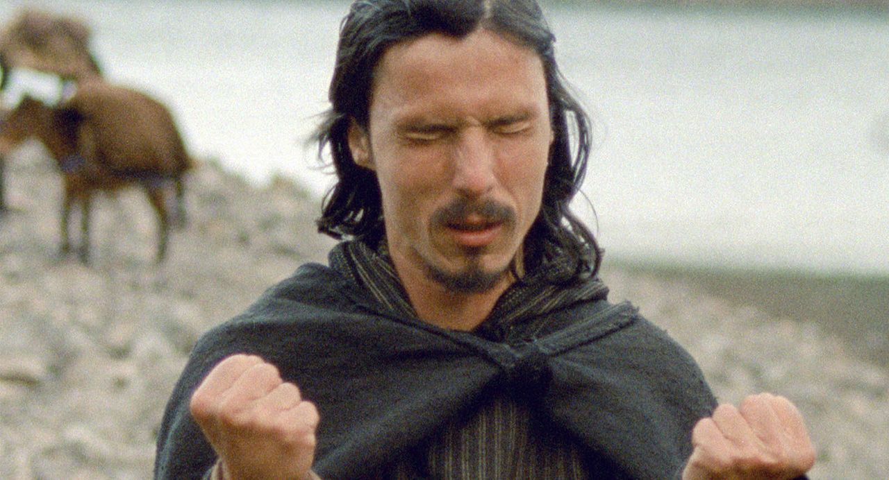 Mimosas : Fotoğraf Shakib Ben Omar