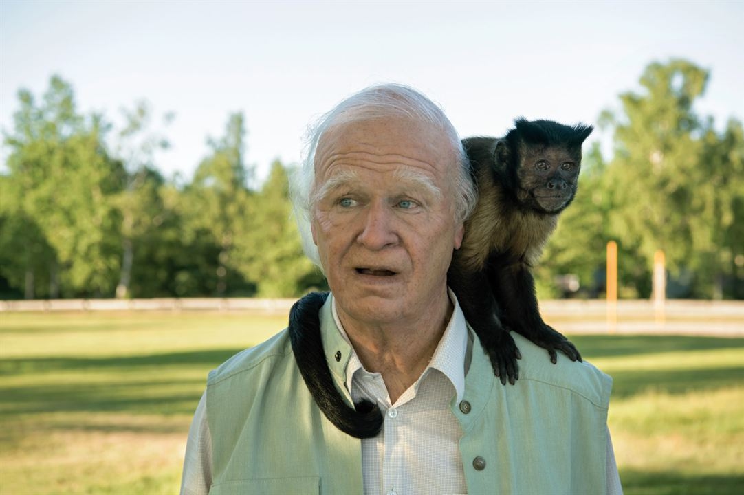 101 Yaşında Hesabı Ödemeden Kaçıp Ortadan Kaybolan Adam : Fotoğraf Crystal the Monkey, Robert Gustafsson
