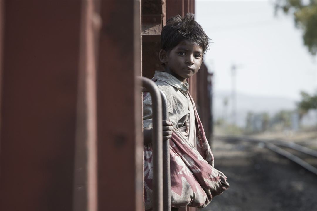 Lion : Fotoğraf Sunny Pawar