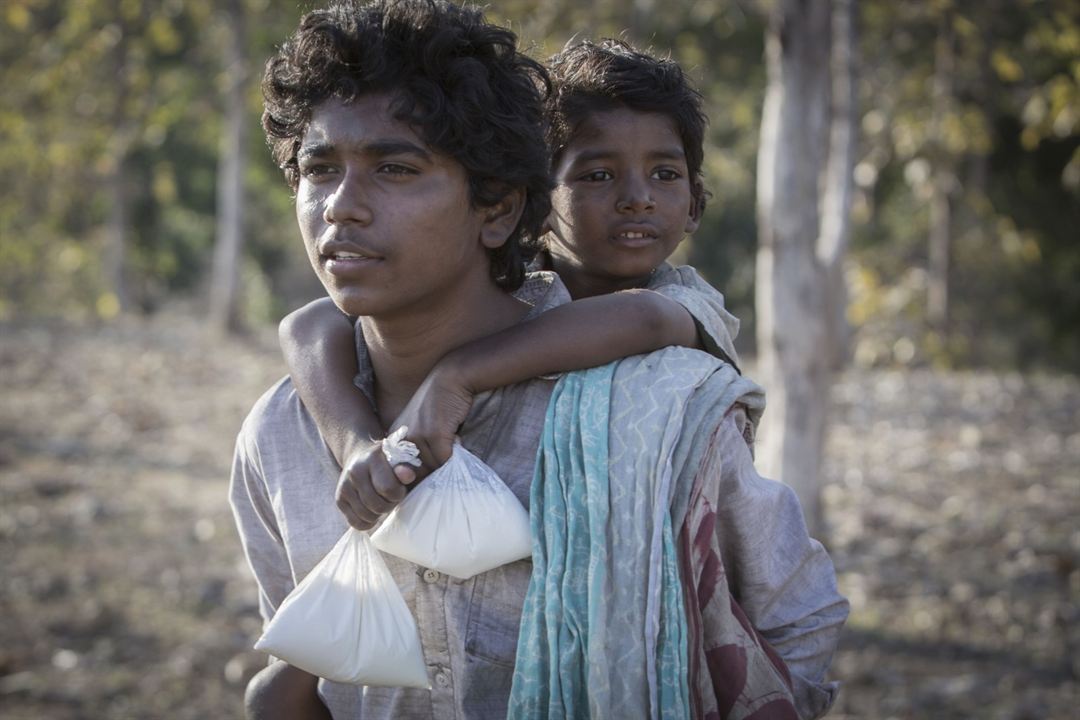 Lion : Fotoğraf Sunny Pawar, Abhishek Bharate