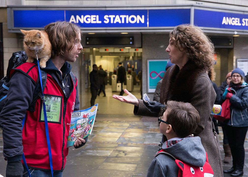 Sokak Kedisi Bob : Fotoğraf Luke Treadaway