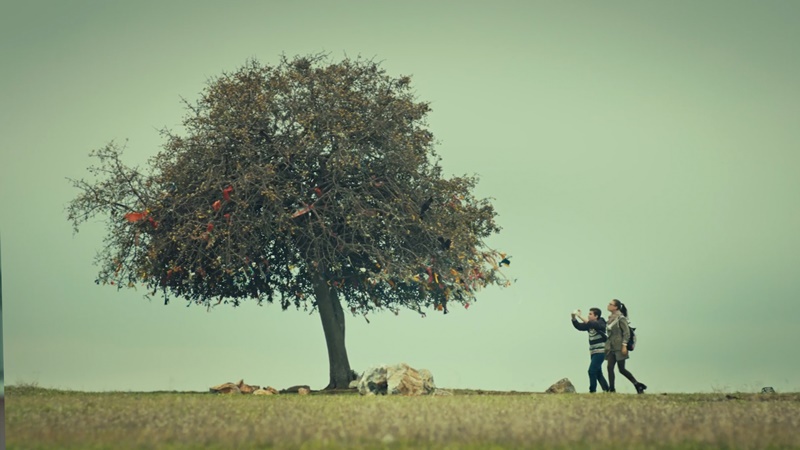 Kırıntılar : Fotoğraf