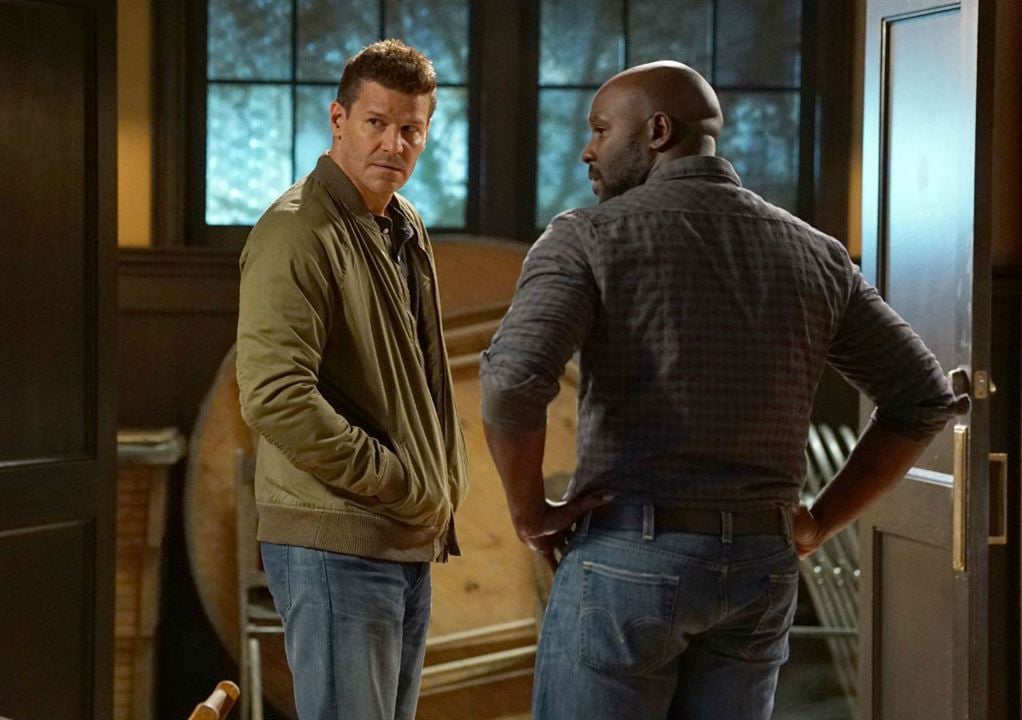 Fotoğraf David Boreanaz, Michael Johnson