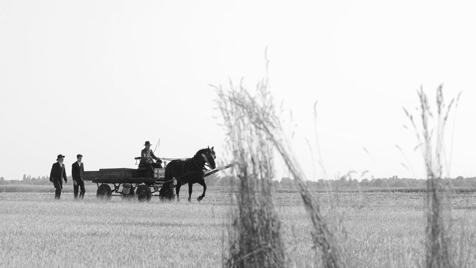 1945 : Fotoğraf