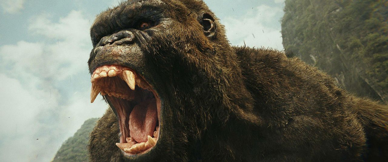 Kong: Kafatası Adası : Fotoğraf