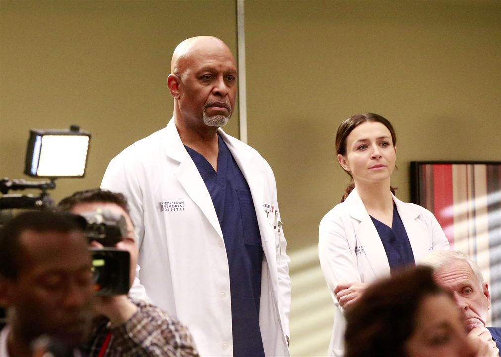 Grey's Anatomy : Fotoğraf James Pickens Jr., Caterina Scorsone