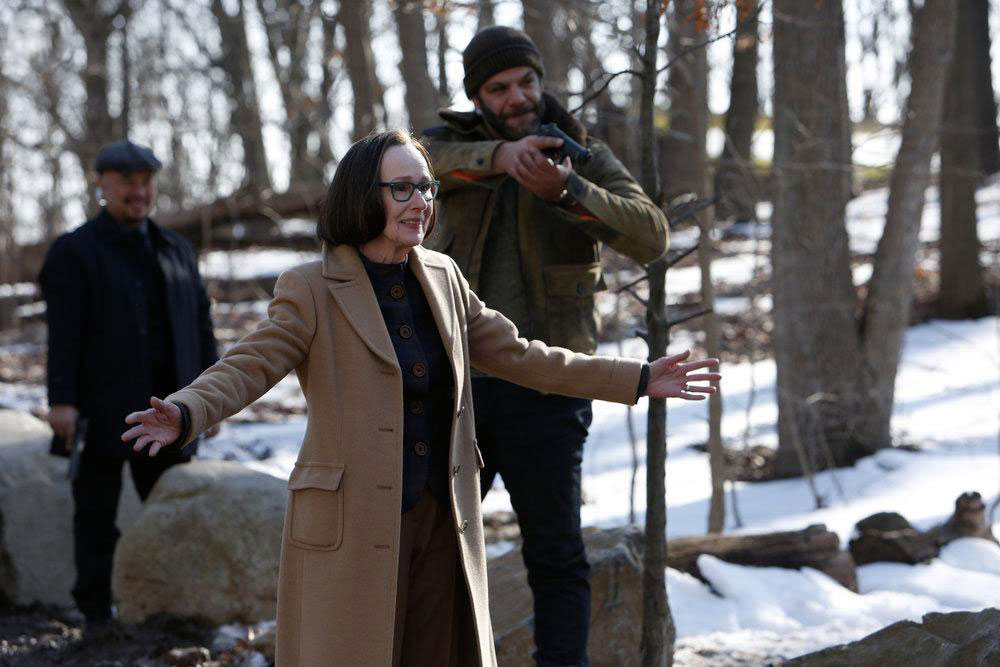 The Blacklist : Afiş Susan Blommaert