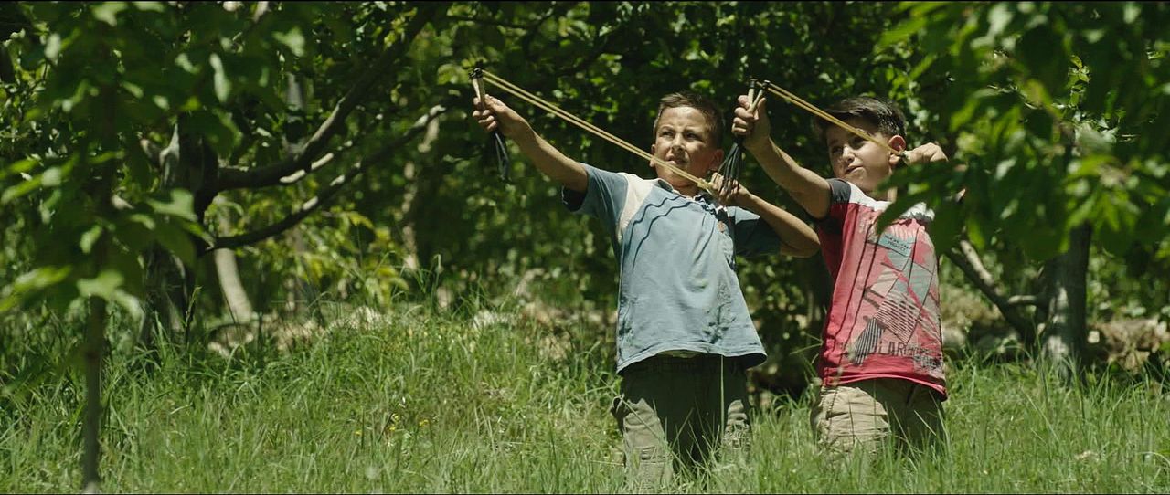 Kiraz Mevsimi : Fotoğraf