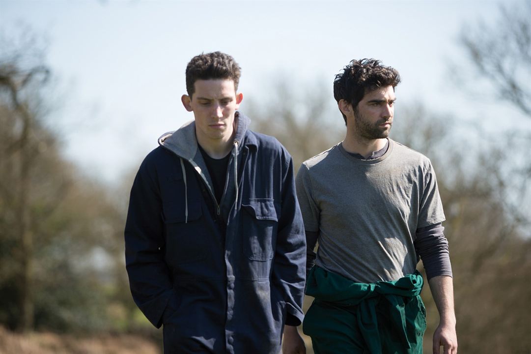 God's Own Country : Fotoğraf Josh O'Connor, Alec Secareanu