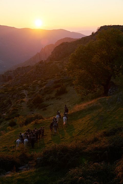 Le Semeur : Fotoğraf