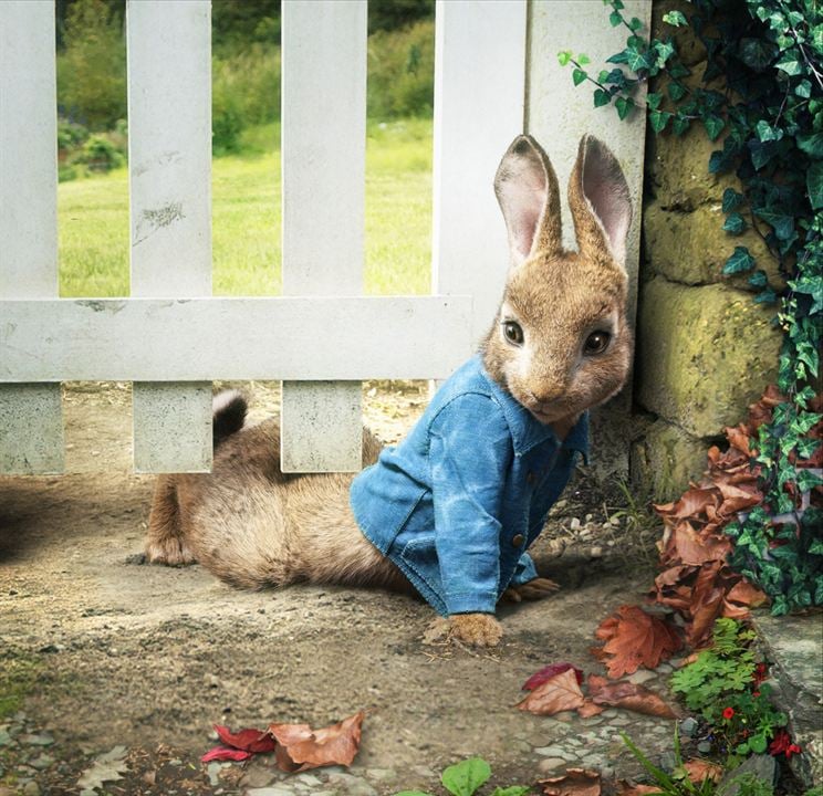 Tavşan Peter : Fotoğraf