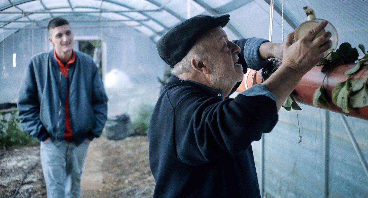 Manuel : Fotoğraf Luciano Miele, Andrea Lattanzi