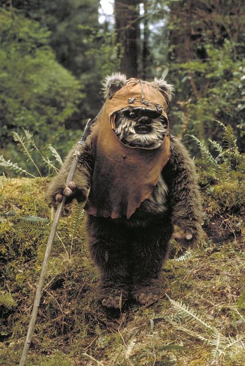 Yıldız Savaşları: Jedi’nin Dönüşü : Fotoğraf