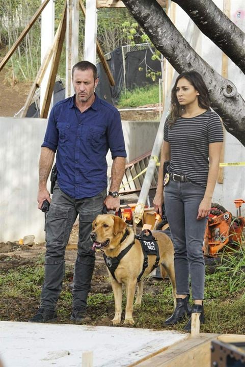 Hawaii Five-0 (2010) : Fotoğraf Alex O'Loughlin, Meaghan Rath