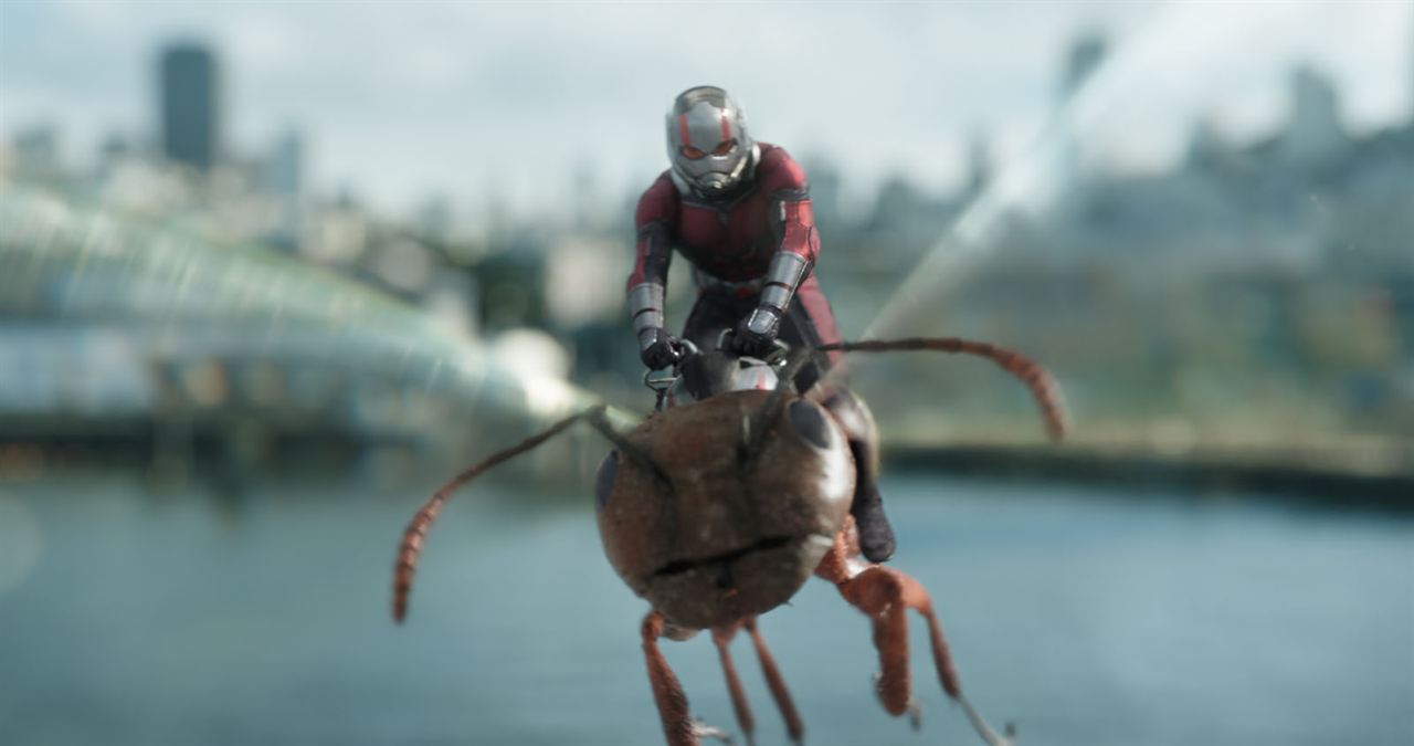 Ant-Man ve Wasp : Fotoğraf Paul Rudd