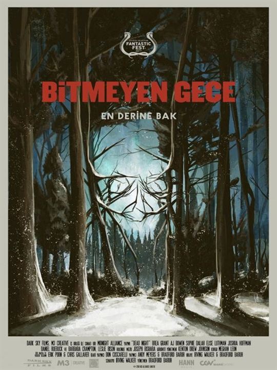 Bitmeyen Gece : Afiş