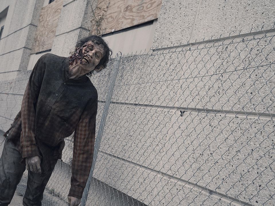 Fear The Walking Dead : Fotoğraf