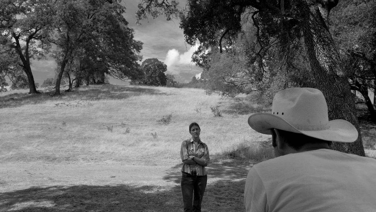 Fotoğraf Sara Arrington