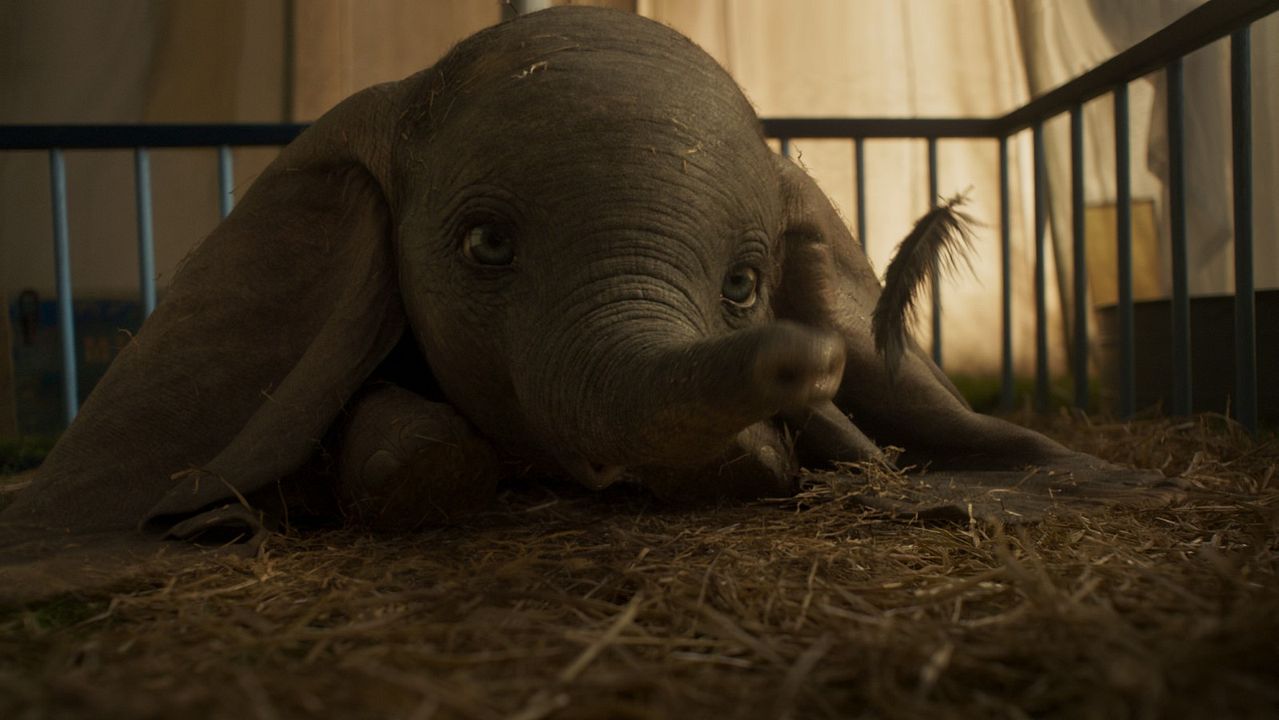 Dumbo : Fotoğraf