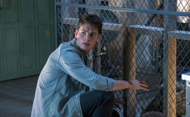 Fotoğraf Gregg Sulkin