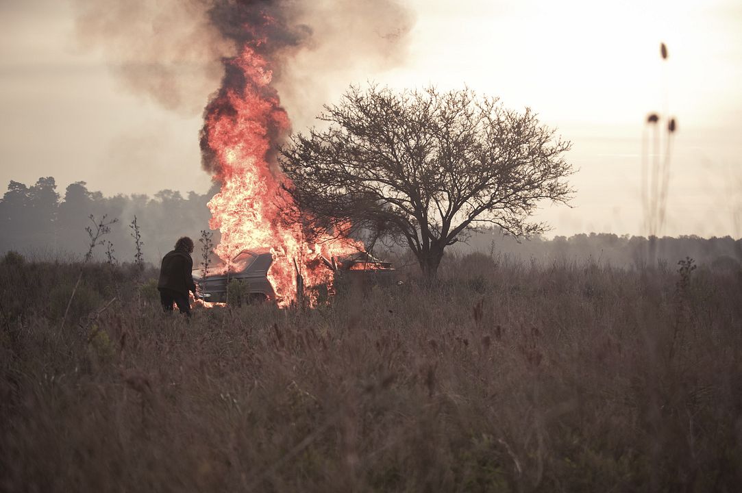 El Ángel : Fotoğraf
