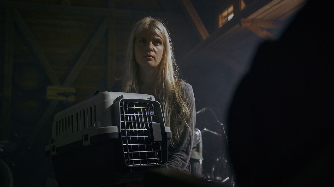 Armomurhaaja : Fotoğraf