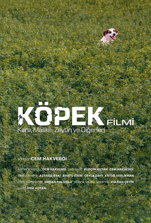 Köpek Filmi : Afiş