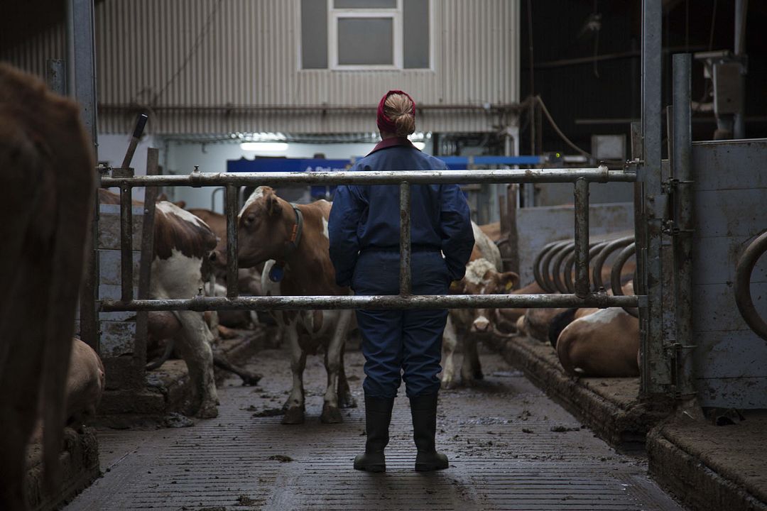 Fotoğraf Arndís Hrönn Egilsdóttir