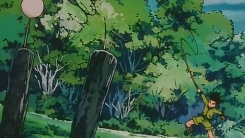 Hunter X Hunter : Fotoğraf