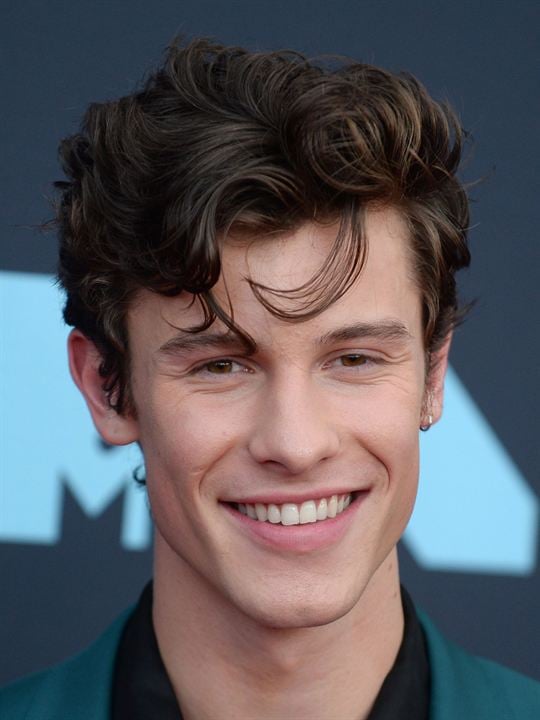 Afiş Shawn Mendes