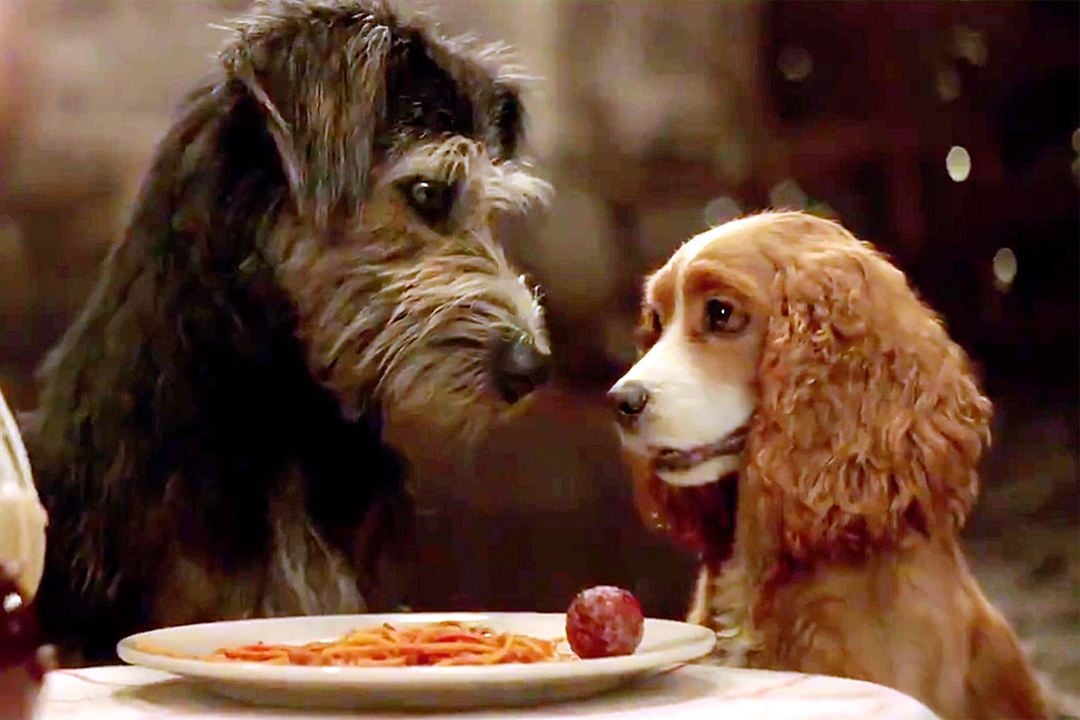 Lady And The Tramp : Fotoğraf