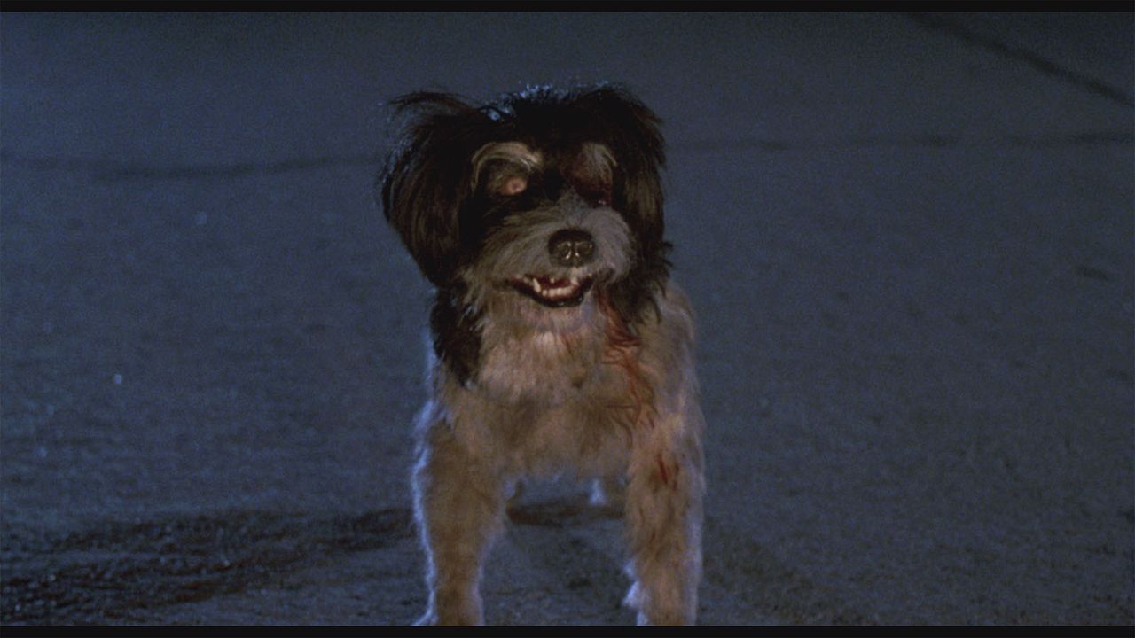 Night of the Creeps : Fotoğraf