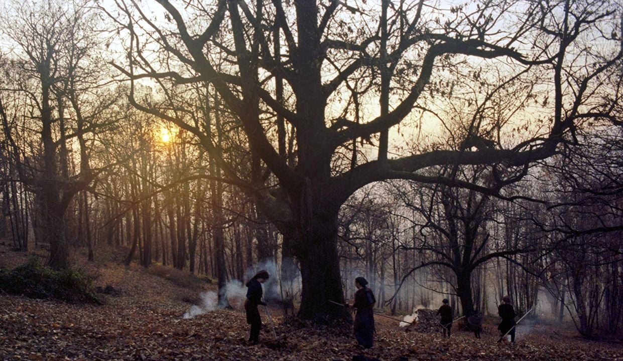 Zgodbe iz kostanjevih gozdov : Fotoğraf