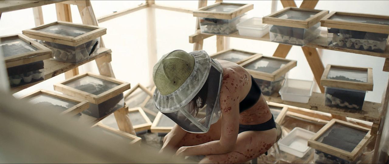 La Nuée : Fotoğraf Suliane Brahim