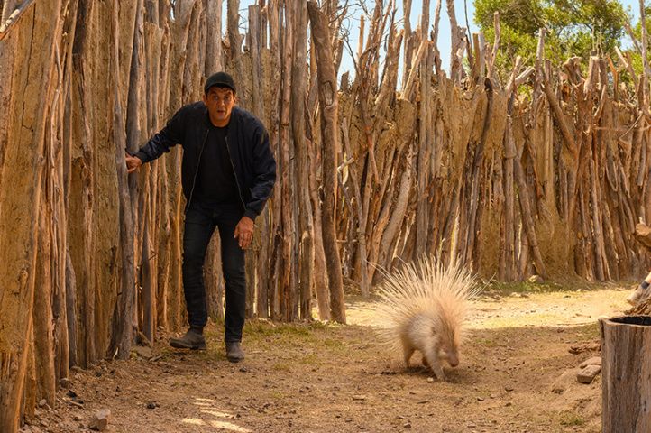 Fotoğraf Ramzy Bedia