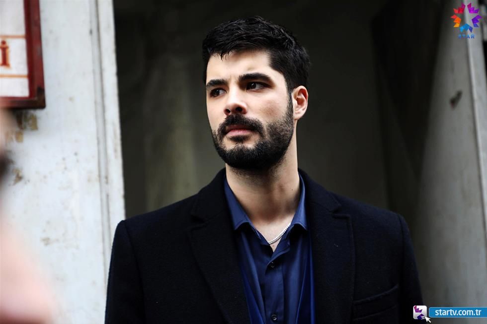 Güvercin : Fotoğraf