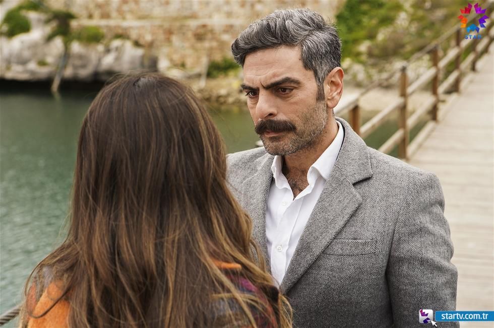 Güvercin : Fotoğraf