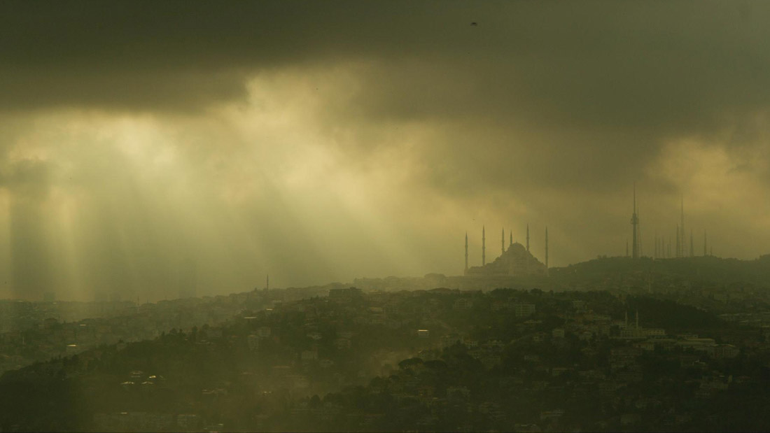 The Dissident : Fotoğraf