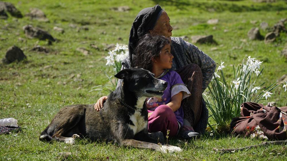 Koku : Fotoğraf