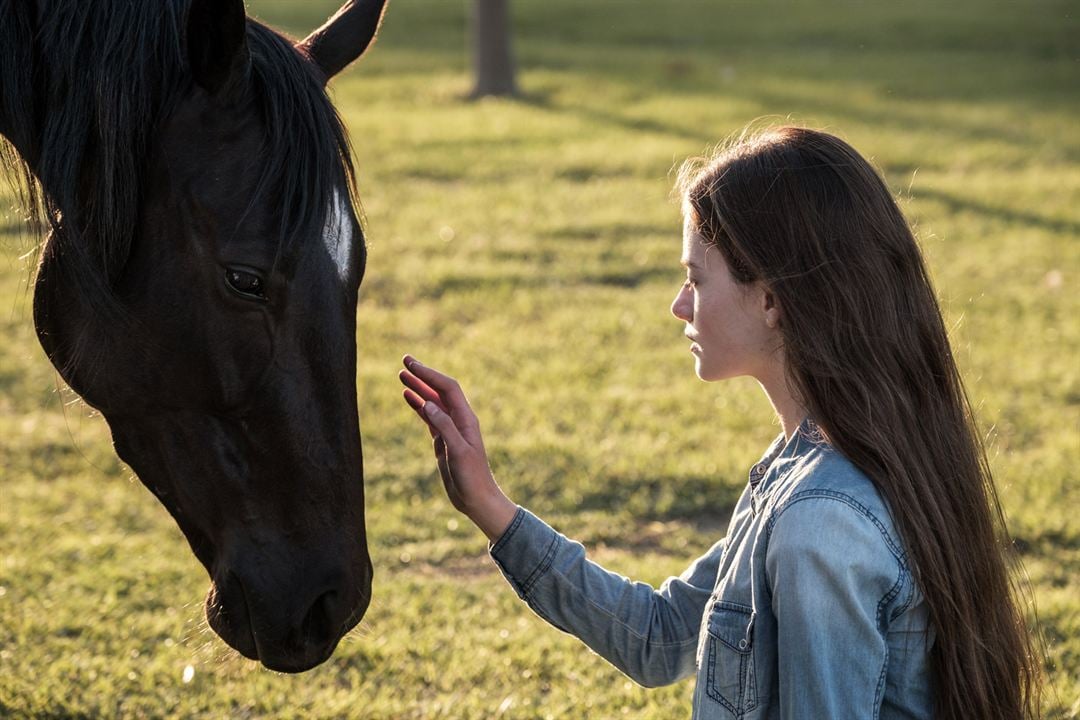 Black Beauty : Fotoğraf Mackenzie Foy