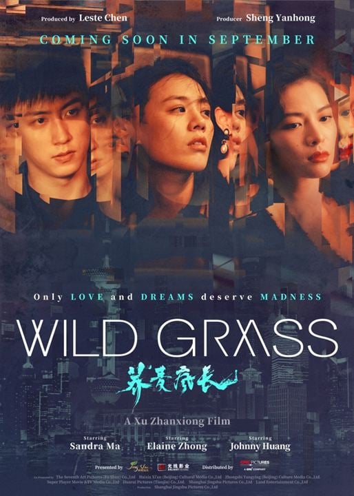 Wild Grass : Afiş