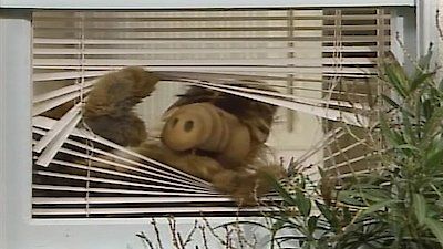 ALF : Afiş