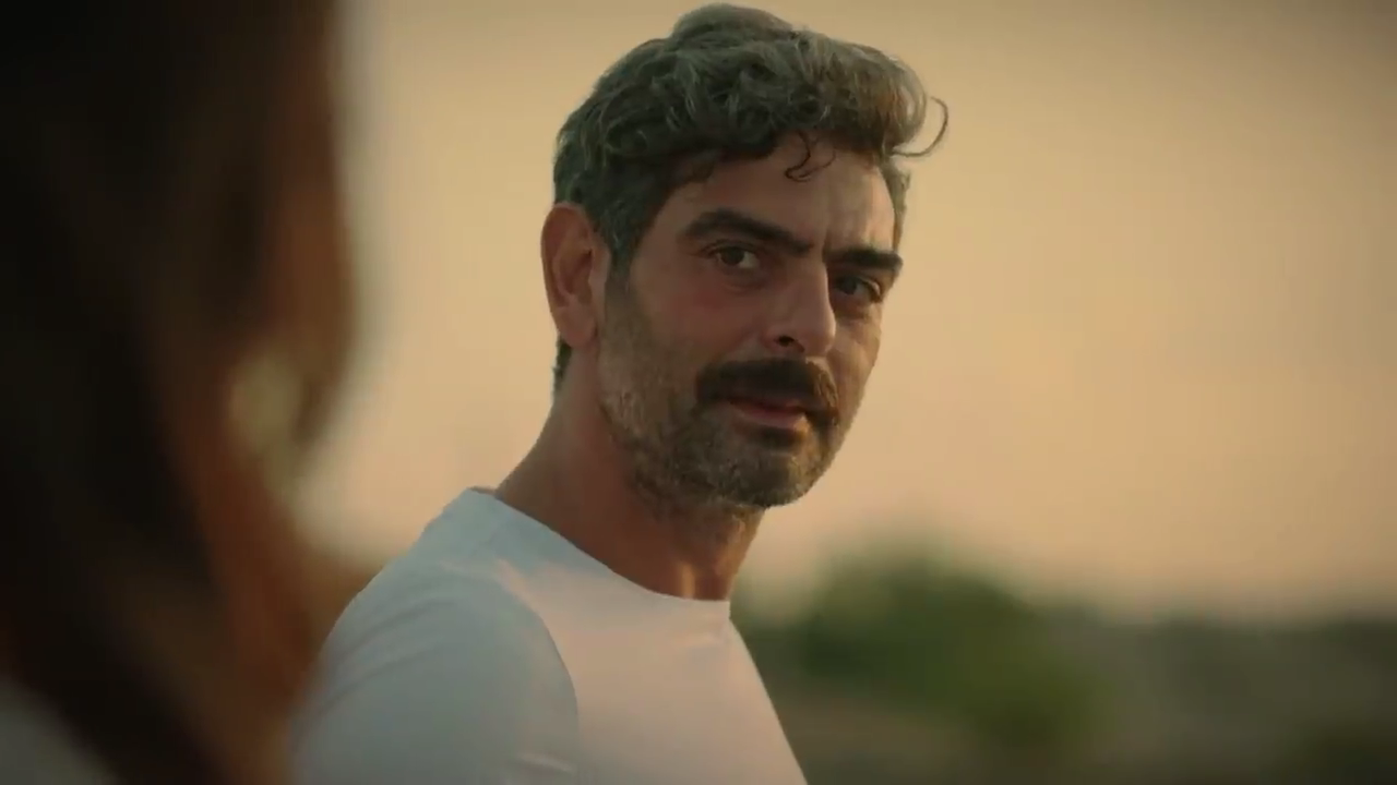 Güvercin : Fotoğraf