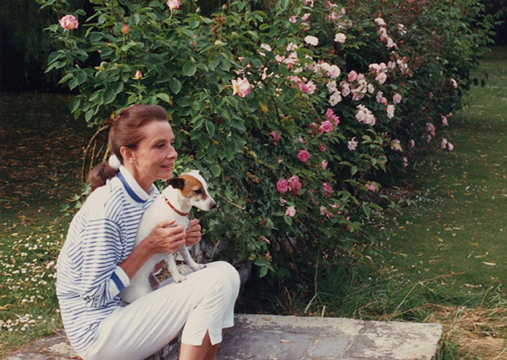 Audrey : Fotoğraf Audrey Hepburn