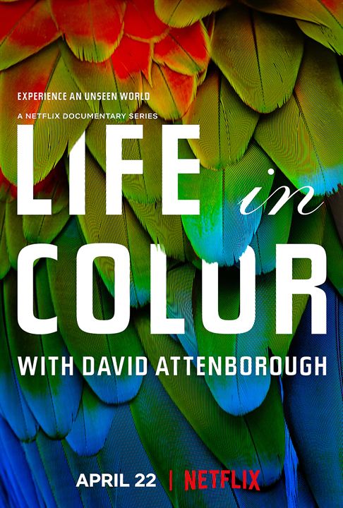 David Attenborough ile Yaşamın Renkleri : Afiş