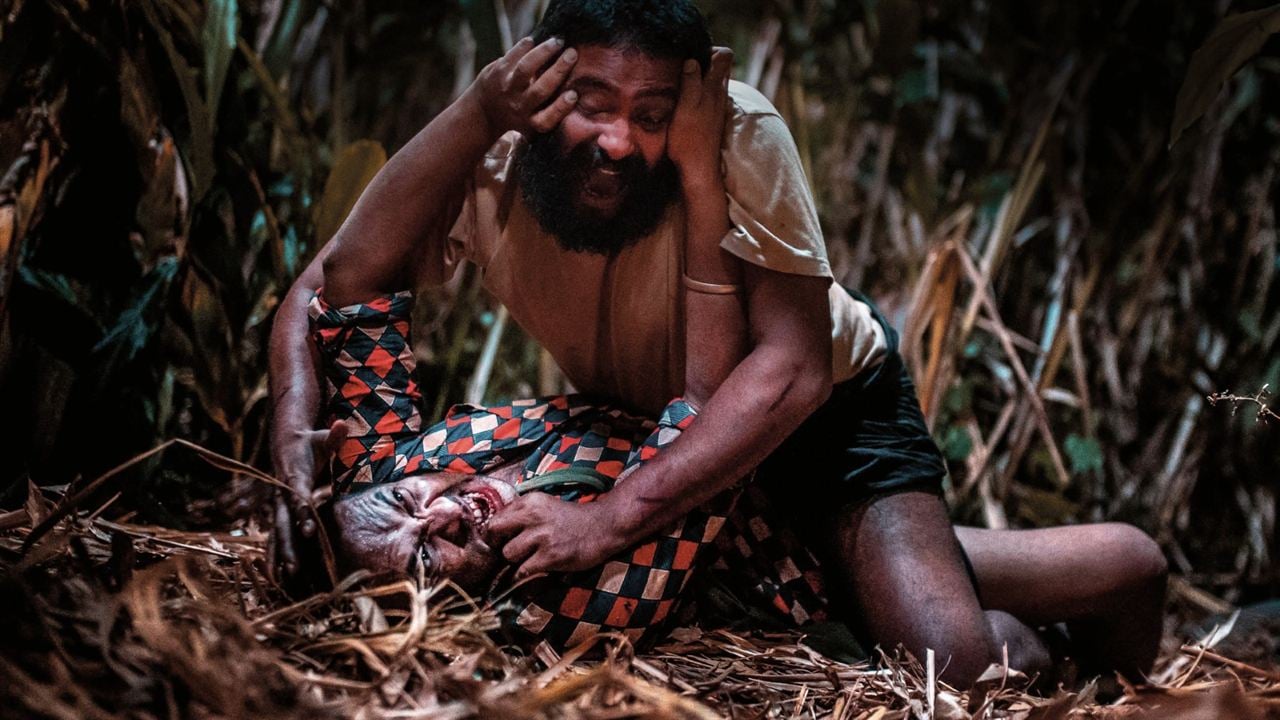 Jallikattu : Fotoğraf