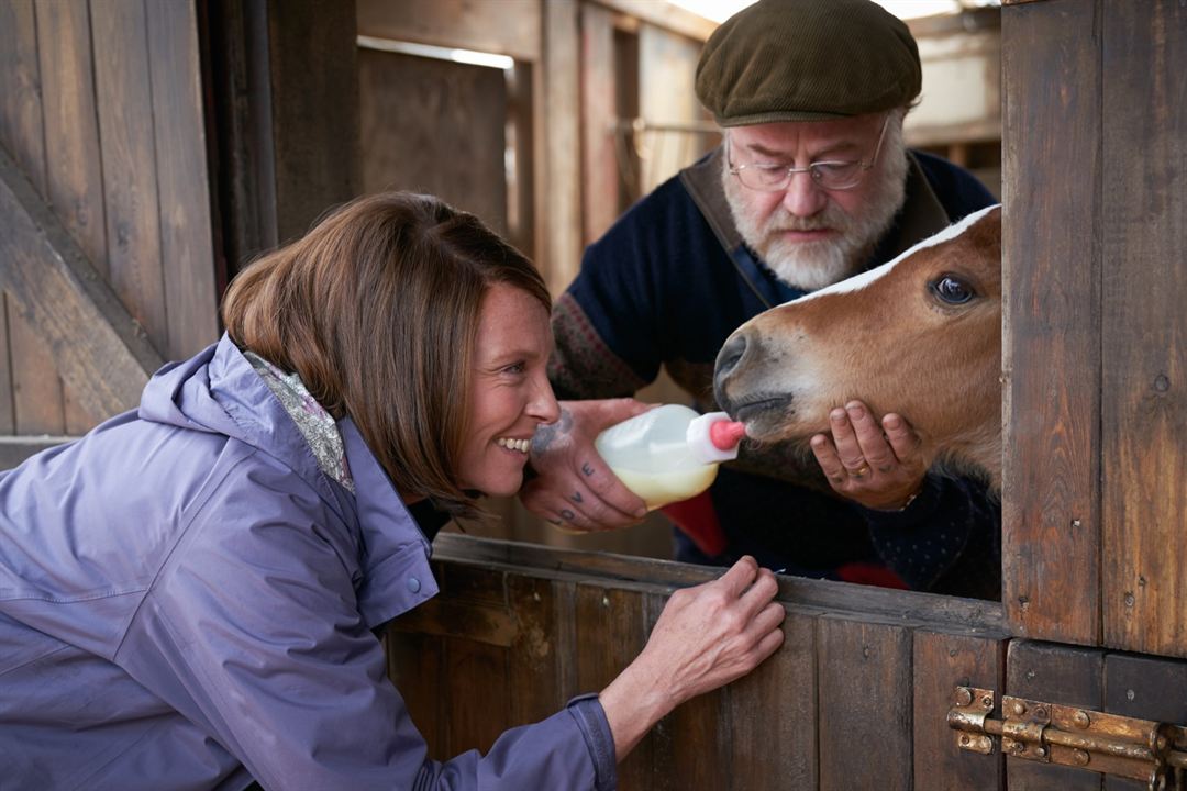 Dream Horse : Fotoğraf Toni Collette, Owen Teale