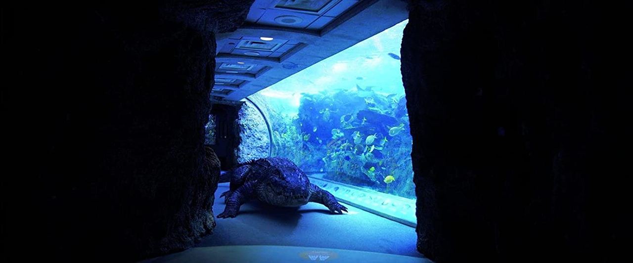 Aquarium of the Dead : Fotoğraf