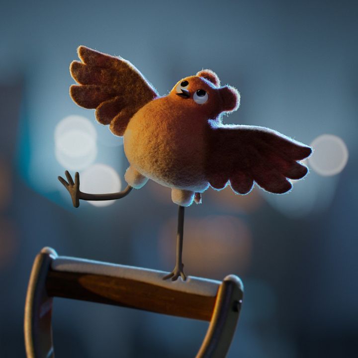 Robin Robin : Fotoğraf